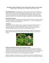 Horticulture, Humans and Health: Science and Psychology Validate Ancient Cultures