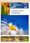 Libro Virtual