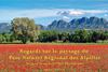 Regard sur le paysage du Parc naturel régional des Alpilles 