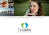 Le code de marque partagé de la destination touristique Calvados