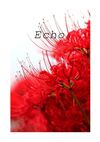 Echo