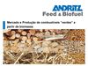 Mercado e Produção de Combustíveis Verdes a Partir de Biomassa - Eduardo Santos Soffioni
