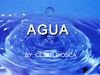 el agua