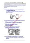 BIOLOGIA-SELECTIVIDAD-EXAMEN RESUELTO 3 CANARIAS-www.SIGLO21X.blogspot.com