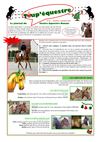 Toup'Equestre n°28 (Novembre-Décembre 2010)