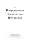 La Responsabilité Sociétale des Entreprises