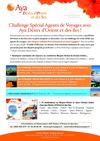 CHALLENGE AGENT DE VOYAGE 2011 2012