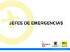Pautas Simulacro 2011