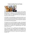 Understanding Your Cat Traits