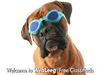 How to Sell Stock Photos And Make Money