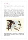 14 El País de Pongra