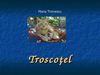 Troscoţel