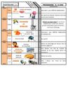 PROGRAMME 9 13 ANS