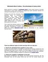 Wholesale Stock Trading - The advantages of going online