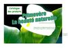 exemple présentation,mise en page avec Word 2010