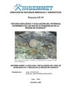 A6468 Informe Técnico POI GE19 2008 Metalogenia Huánuco Acosta