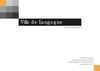 Projet professionel - ville de Langogne
