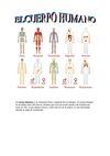 LOS APARATOS DEL CUERPO HUMANO-Ainara