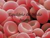 Equilibrio Medio Interno