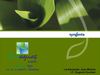 Ecoaguas -Arboles que producimos