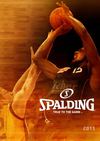 spalding 2011