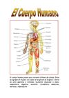 LOS APARATOS DEL CUERPO HUMANO-Kerman