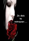 Je dois te retrouver...