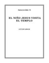 El Niño Jesús visita el Templo