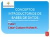 Bases de Datos