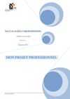 Dossier projet professionnel Bac Pro Industriel