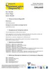Fiche DiagnosTIC - Caillaud