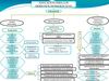 diapositivas derechos humanos