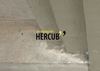 Dossier Compagnie Hercub'