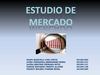 ESTUDIO_FINAL[1]