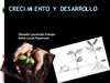 Crecimiento y desarrollo