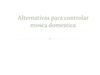 alternativas control mosca casera