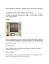 Home Blinds of America – Blinds versus Plantation shutters