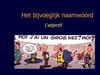 Bijvoeglijk naamwoord1