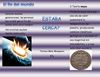 folleto en word