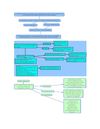 Accesos a Internet en CMap