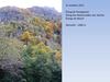 31-10-11_Peyregrand