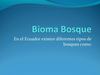 bioma bosque