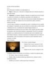 Empresa PIDEPI (ANALISIS OBJETUAL)