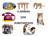 Formación do feminino, o xénero