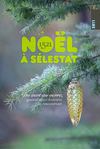 Noël à Sélestat 2011