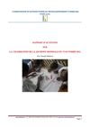 Rapport sur la Journée Mondiale du Refus de la Misère 2011