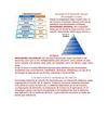Sociedad en el desarrollo técnico