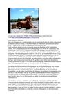 Löwen Lions Animals Tiere Wildlife Wildness SelMcKenzie Selzer-McKenzie