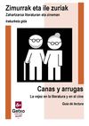 Canas y arrugas. La vejez en la literatura y el cine (euskera y castellano)