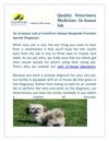 North Carolina Fully Equipped Veterinary Diagnostic Lab- Care First Animal Hospital